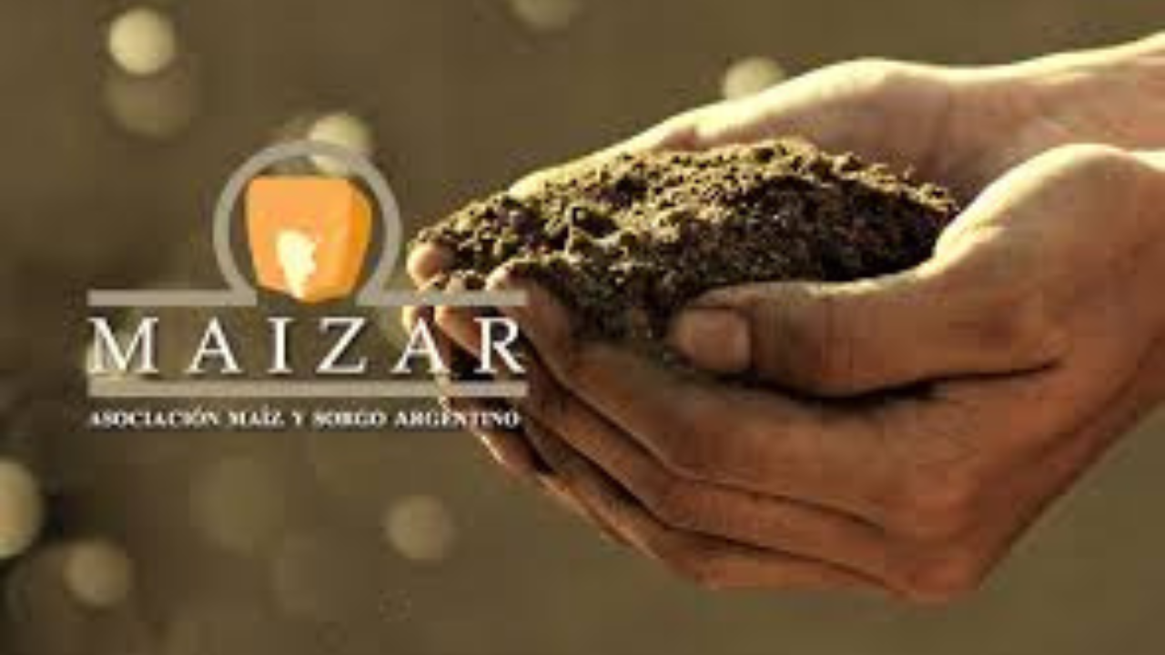 maizar