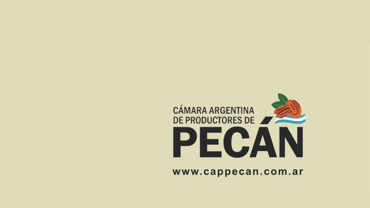pecan