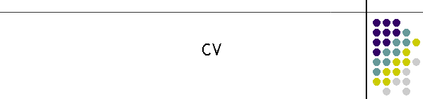 CV